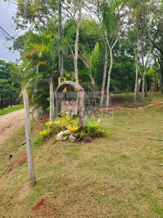 Fazenda/Sítios/Chácaras em Pindamonhangaba - Borba