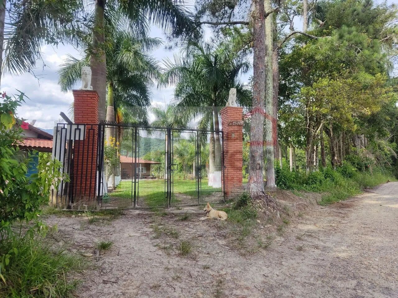 Fazenda/Sítios/Chácaras em Pindamonhangaba - Ribeirão Grande