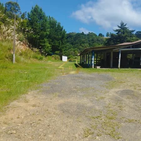 ÓTIMA CHÁCRA PARA VENDA NO PALMITALZINHO