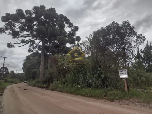 ÓTIMO TERRENO INDUSTRIAL PARA VENDA EM CAMPINA GRANDE DO SUL