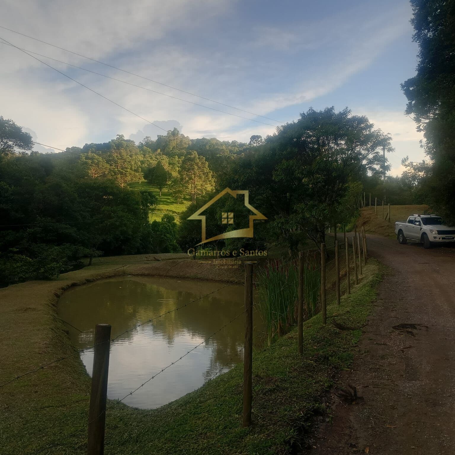ÓTIMA PROPRIEDADE RURAL PARA VENDA NO RIBEIRÃO DO TIGRE