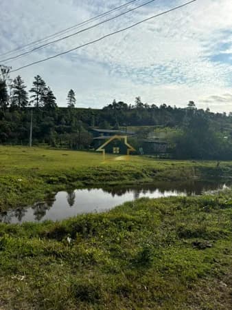 ÓTIMA ÁREA RURAL PARA VENDA NA ESTRADA DA GRACIOSA