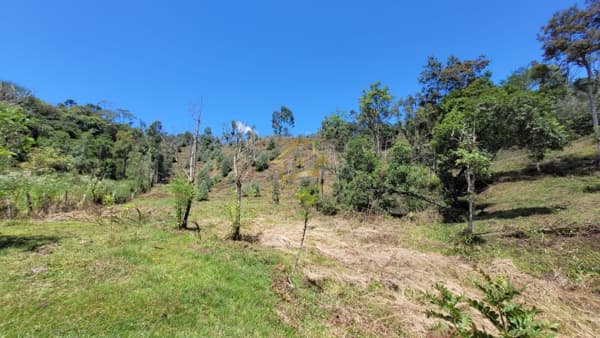 ÁREA RURAL EXELENTE PARA INVESTIMENTO