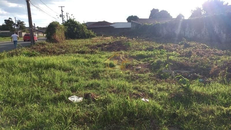 TERRENO NO MENINO DEUS EM QUATRO BARRAS