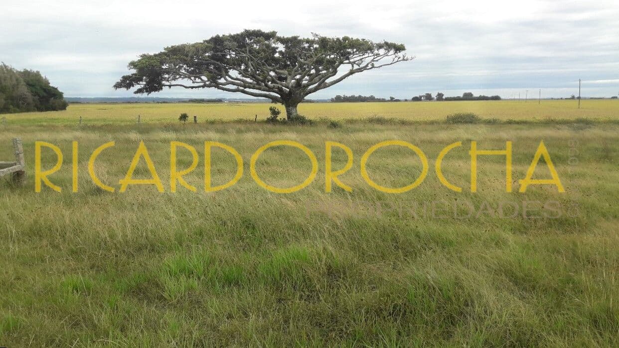 Fazenda em Viamão | 345 Hectares | Dupla Aptidão