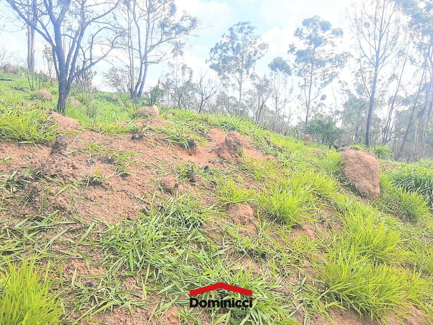 Terrenos para galpões 5.494m², em Bragança Paulista