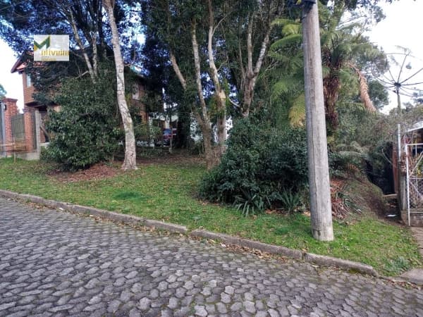 Terreno para Venda em Vila do Cedro Canela-RS
