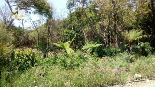 Terreno para Venda em Alpes Verdes Canela-RS