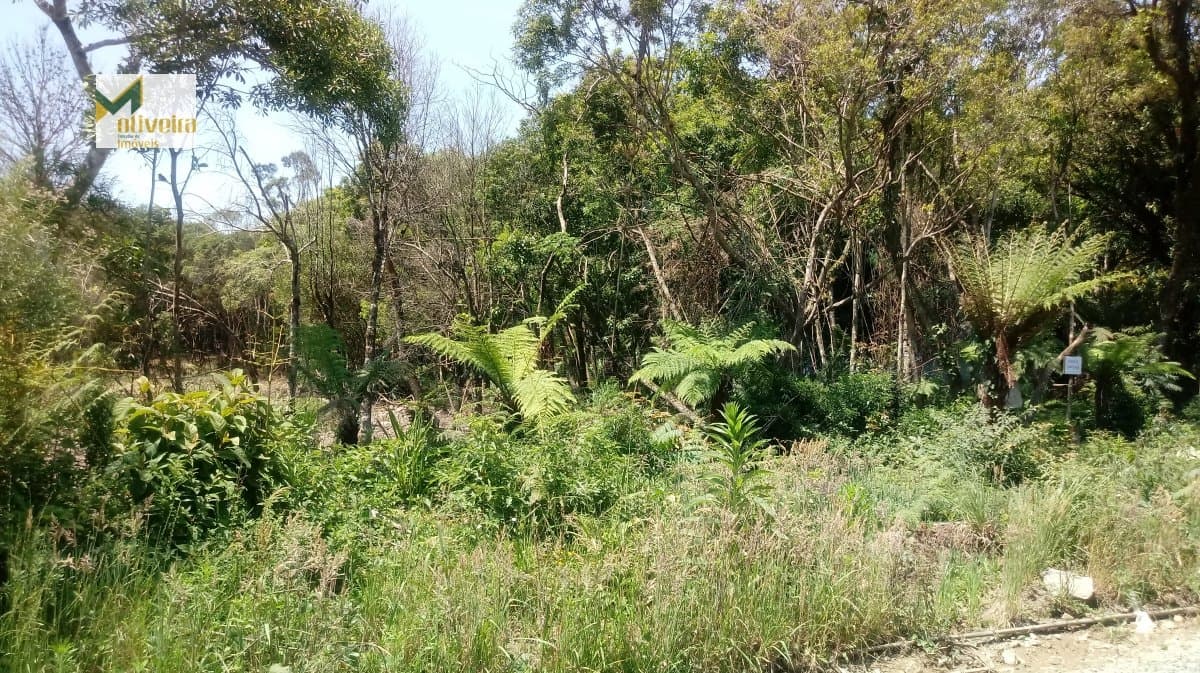 Terreno para Venda em Alpes Verdes Canela-RS