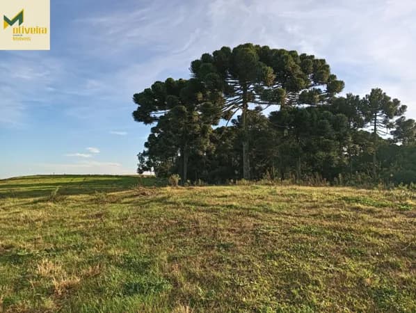 Fazenda de 260 há com 100 há de lavoura na Serra!!