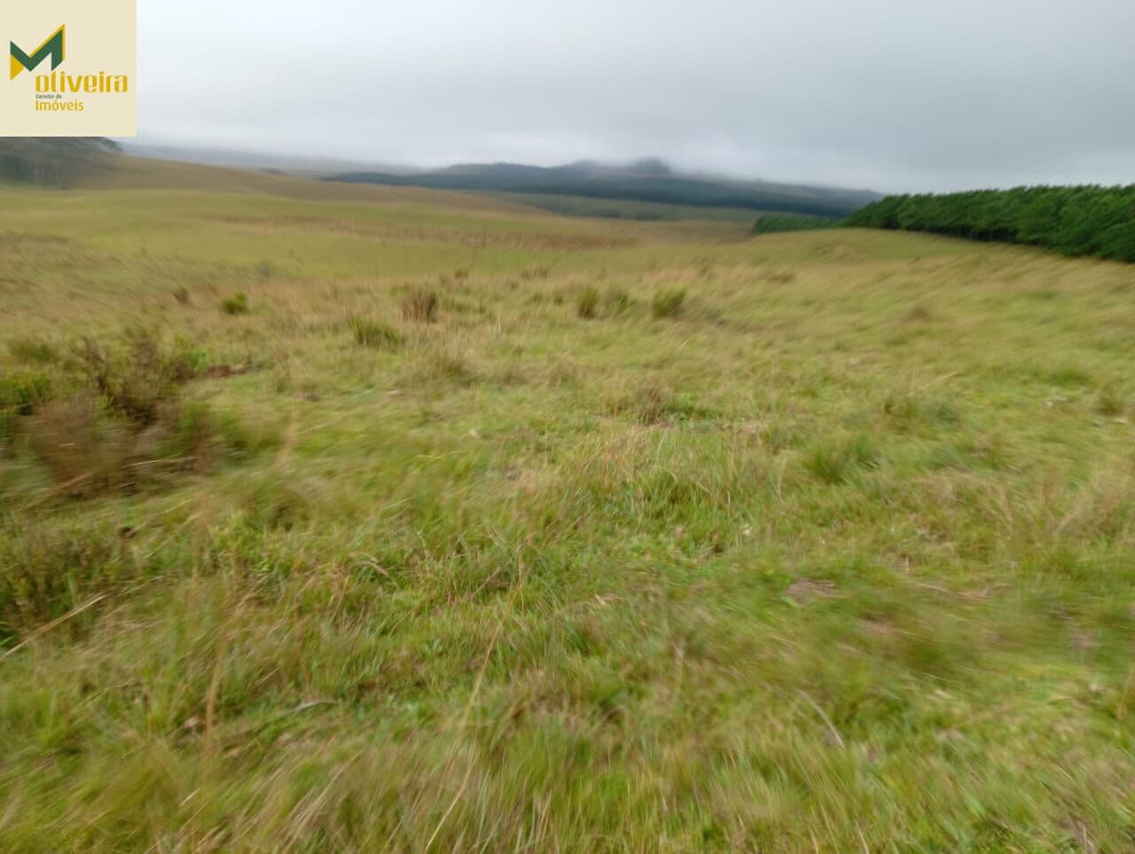 Fazendinha em Cambará do Sul!!