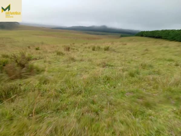 Fazendinha em Cambará do Sul!!