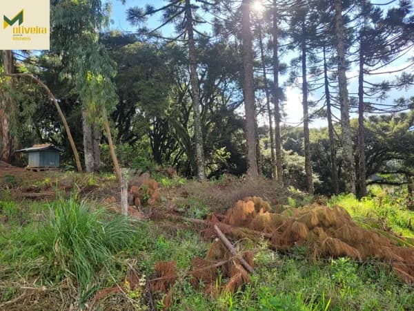 Terreno grande em região de valorização!!