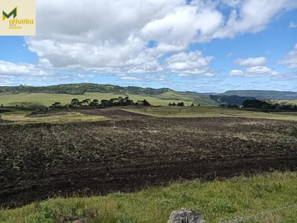 Fazenda com Lavoura e Rio em toda divisa!!