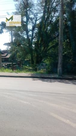 Terreno para Venda em Palace Hotel Canela-RS