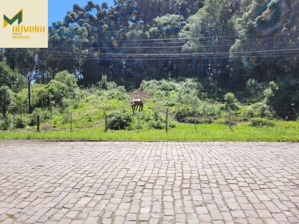 Terreno grande no centro de Canela!!