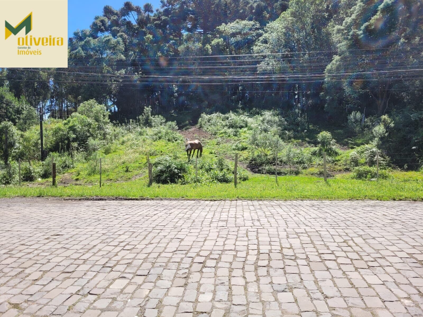 Terreno grande no centro de Canela!!