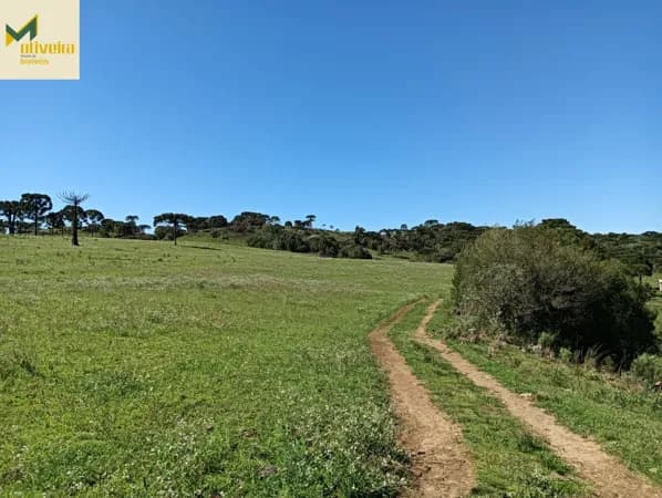 Fazenda mista junto ao no Distrito de Cazuza Ferreira!!