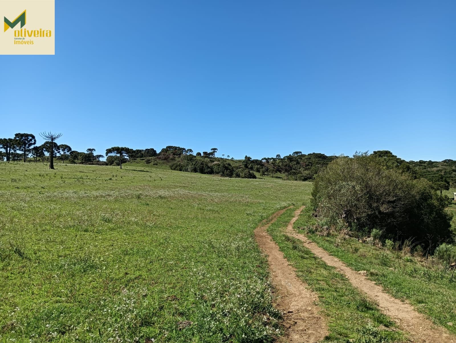 Fazenda mista junto ao no Distrito de Cazuza Ferreira!!