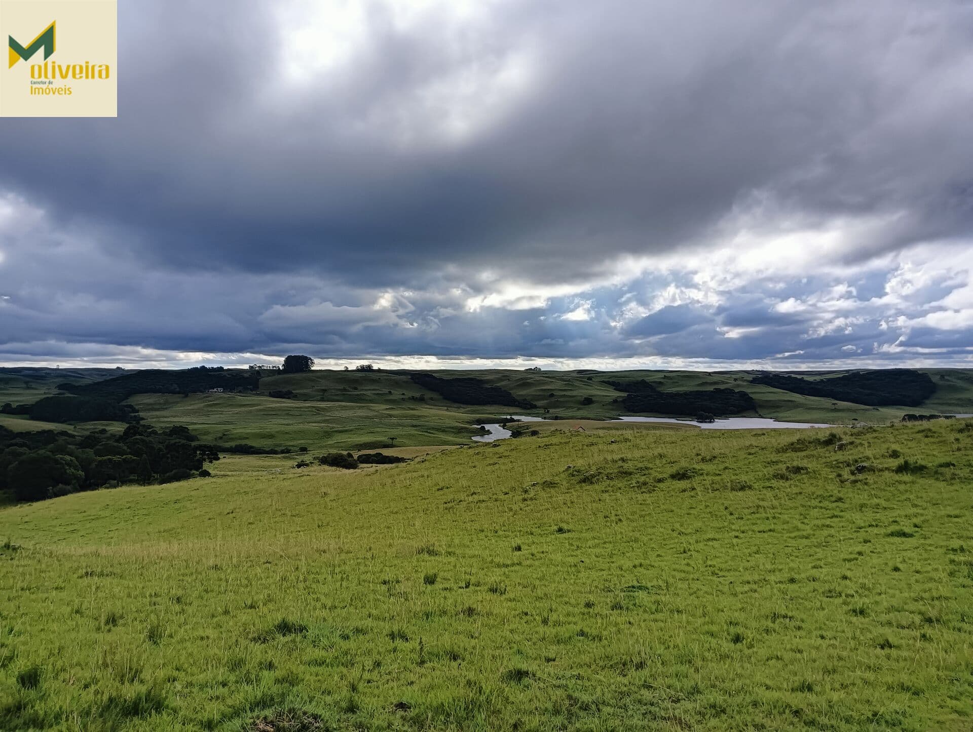 Campo com 100 há, muito próximo da cidade!!