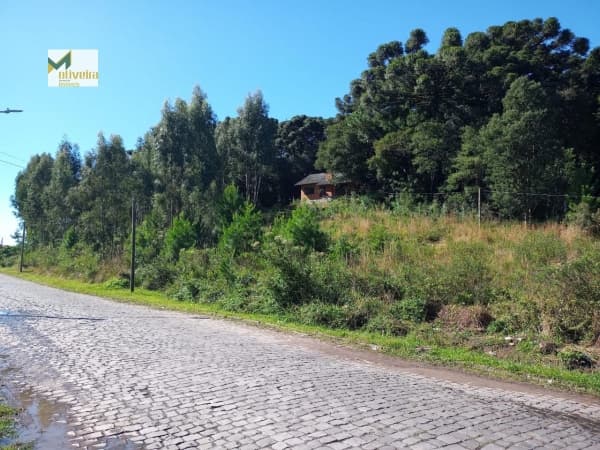Terreno para Venda em Centro Canela-RS