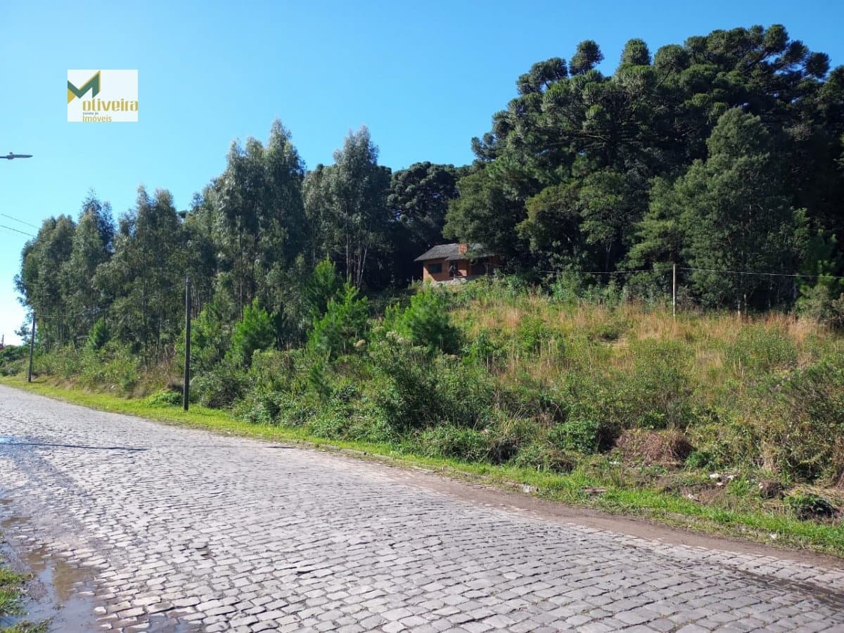 Terreno para Venda em Centro Canela-RS