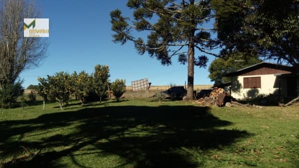 Fazenda para Venda em Capão Alto São Francisco de Paula-RS
