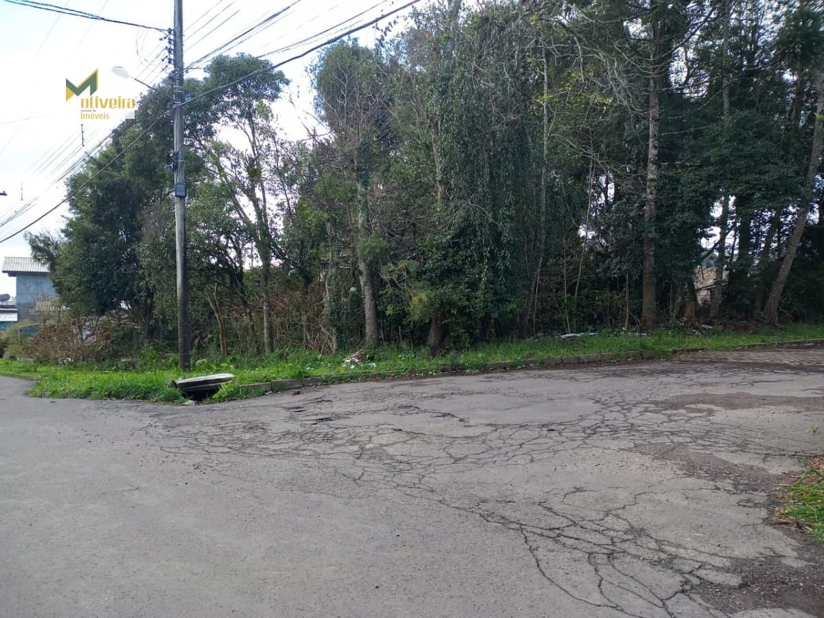 Terreno para Venda em Santa Terezinha Canela-RS