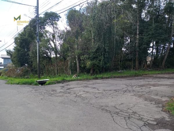 Terreno para Venda em Santa Terezinha Canela-RS