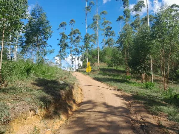 Lote/Terreno em Benedito Novo - Barra São João