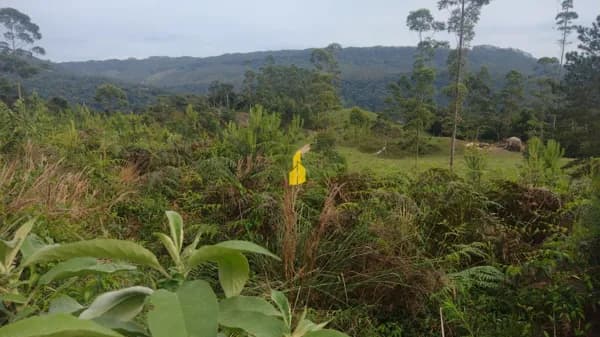 Terreno para Sítio