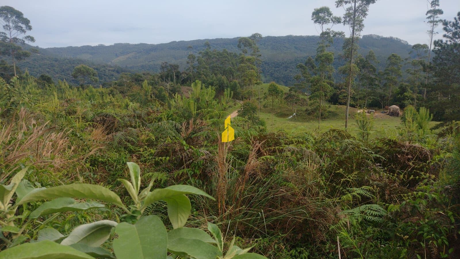 Terreno para Sítio
