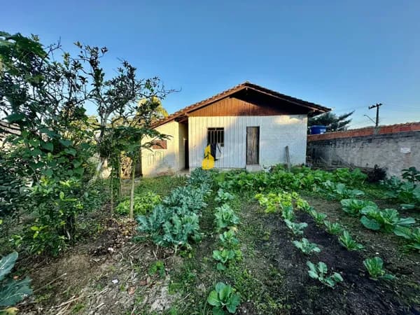 Lote/Terreno em Timbó - Dos Estados