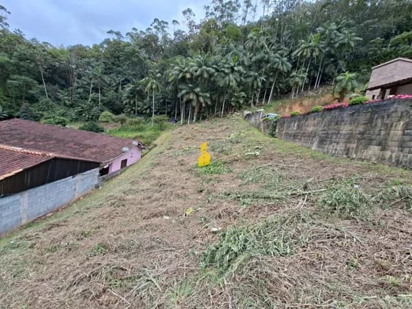Lote/Terreno em Benedito Novo - Centro