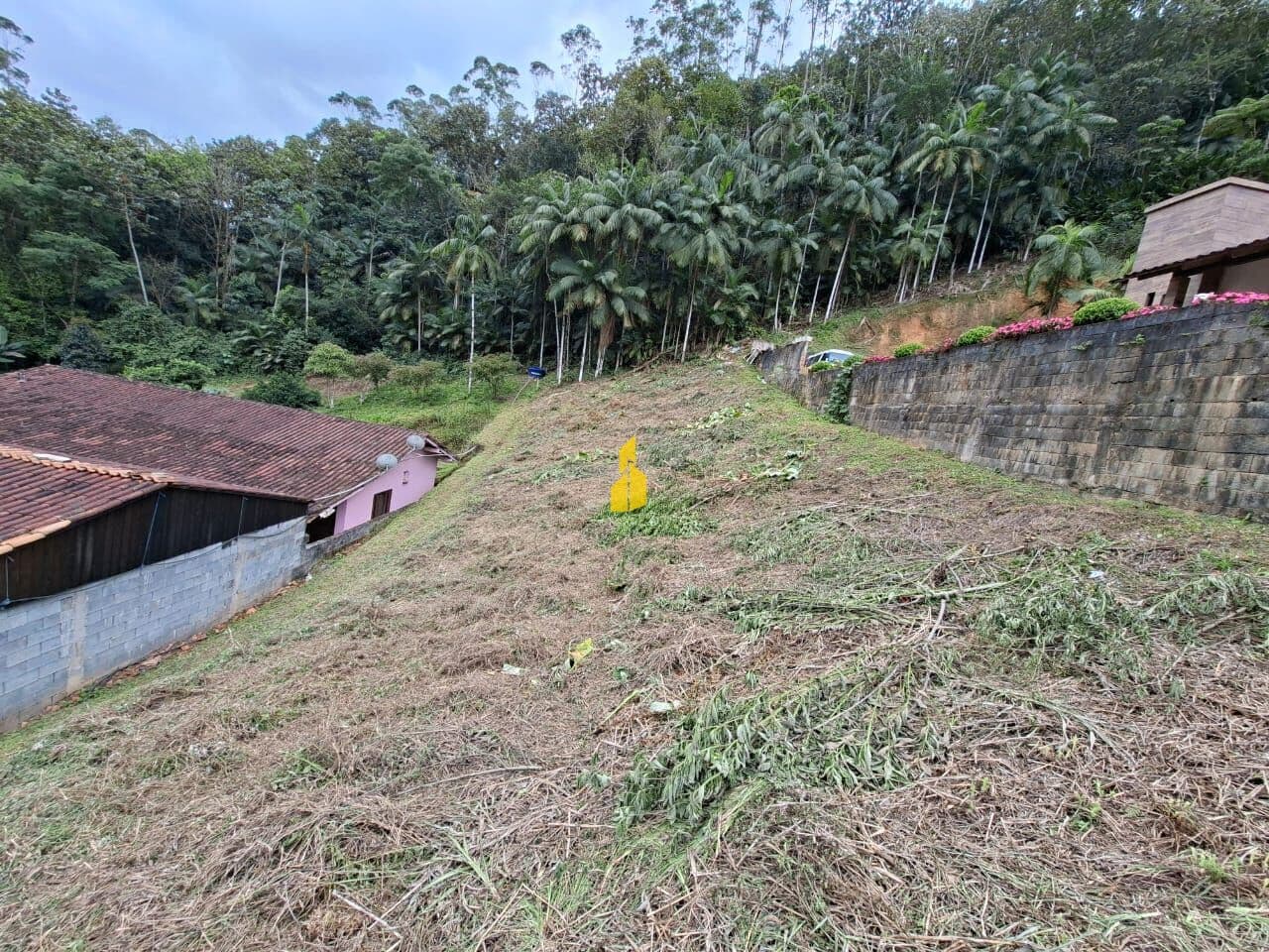 Lote/Terreno em Benedito Novo - Centro