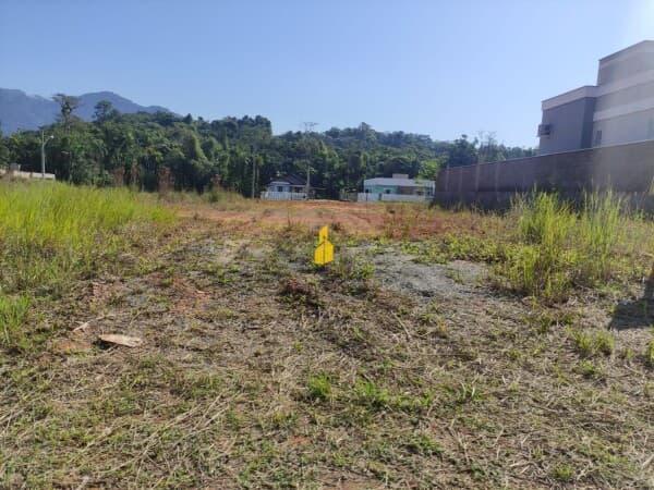 Lote/Terreno em Rio dos Cedros - Divinéia