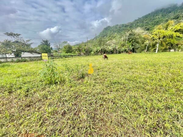 Lote/Terreno em Timbó - Padre Martinho Stein