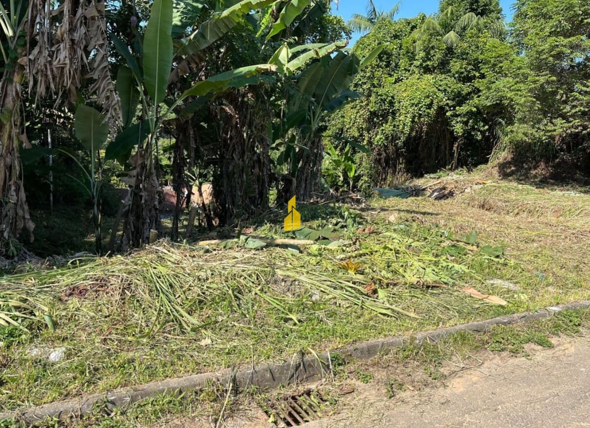 TERRENO GRANDE NA QUINTINO