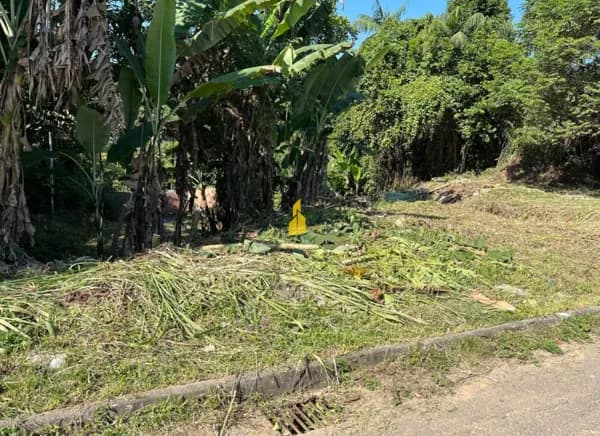 TERRENO GRANDE NA QUINTINO