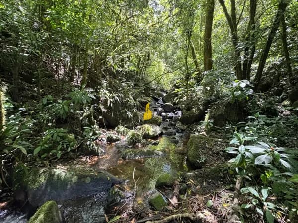 Lote/Terreno em Benedito Novo - Santa Maria