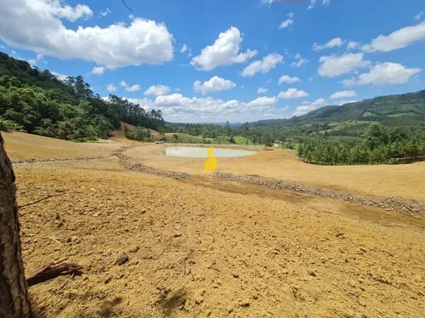 Sítio à Venda em Benedito Novo - Um Refúgio de Tranquilidade e Beleza