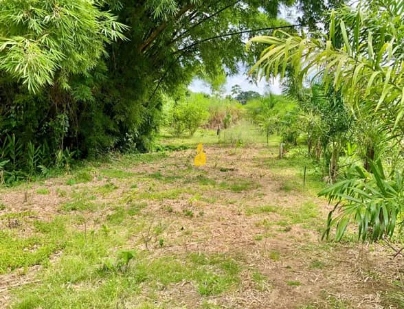 Terreno no Centro de Rio dos Cedros