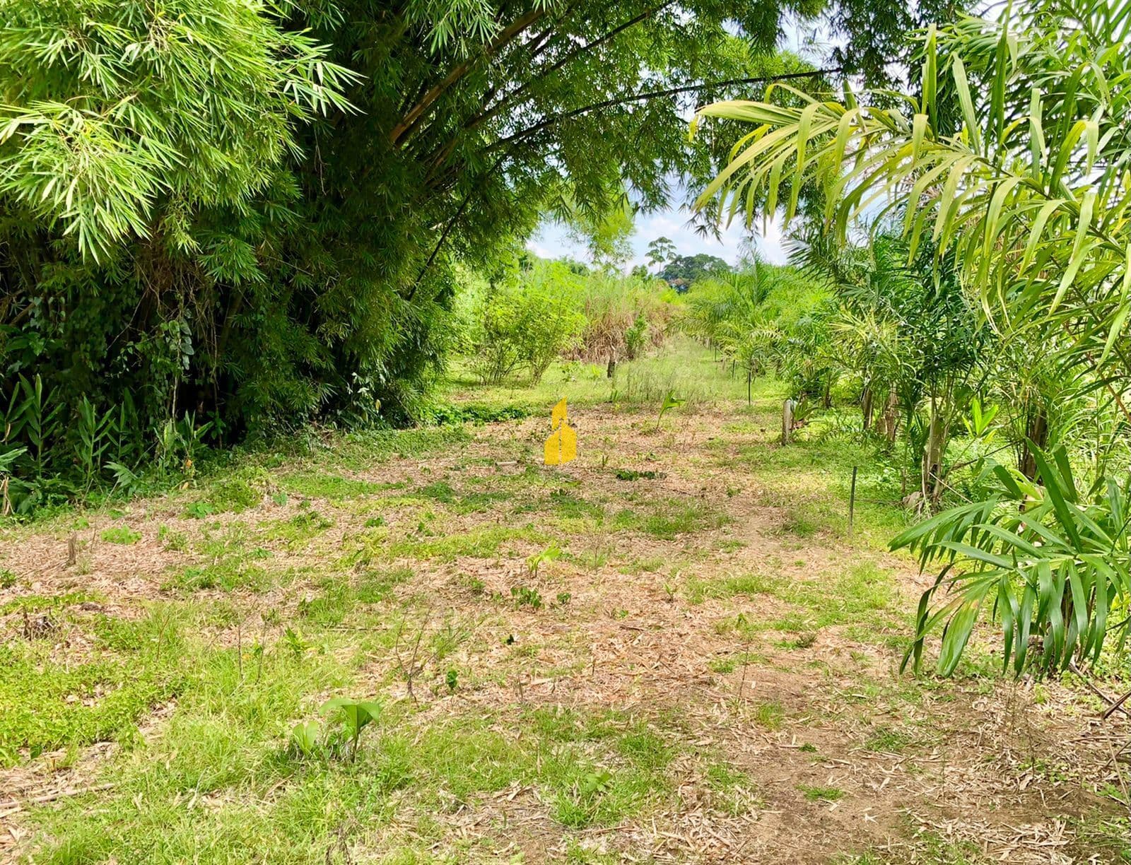 Terreno no Centro de Rio dos Cedros