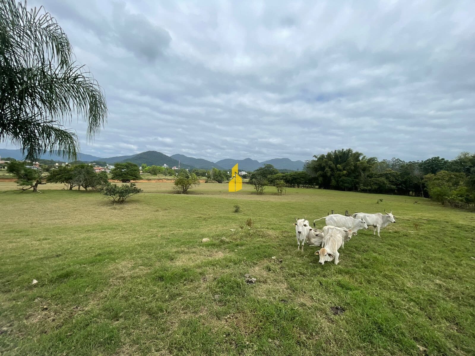 Lote/Terreno em Timbó - Das Nações