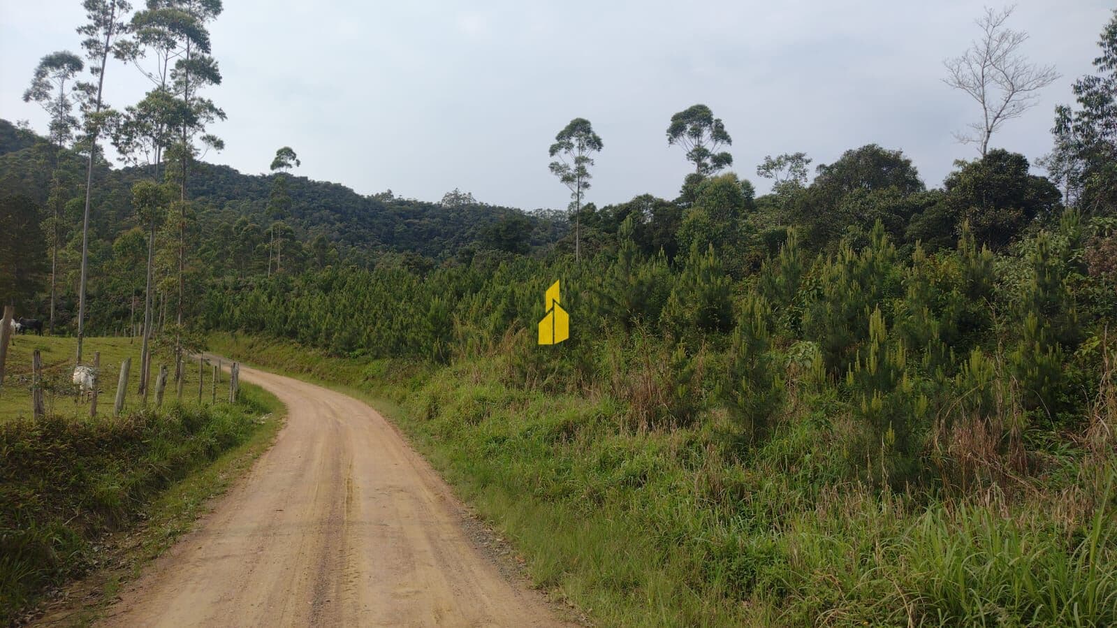Terreno para Sítio
