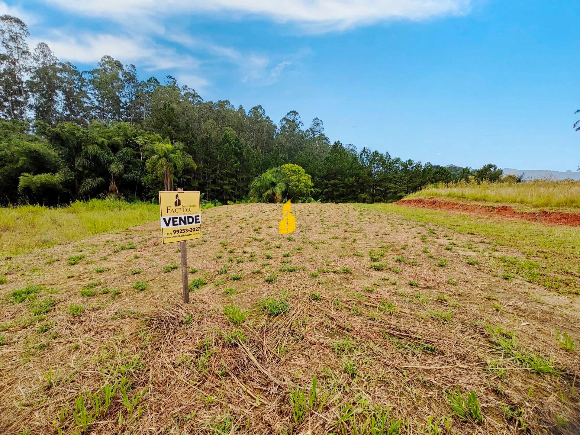Terreno plano no Bairro Divinéia