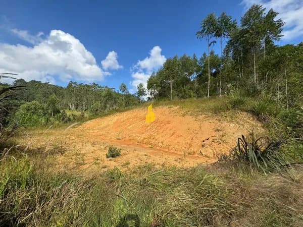 Terreno à Venda Benedito Novo Santa Maria