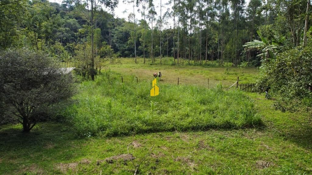 Lote/Terreno em Timbó - Padre Martinho Stein
