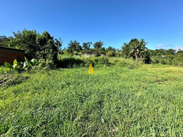 Terreno urbano com 20.000 m² à venda em Benedito Novo-SC