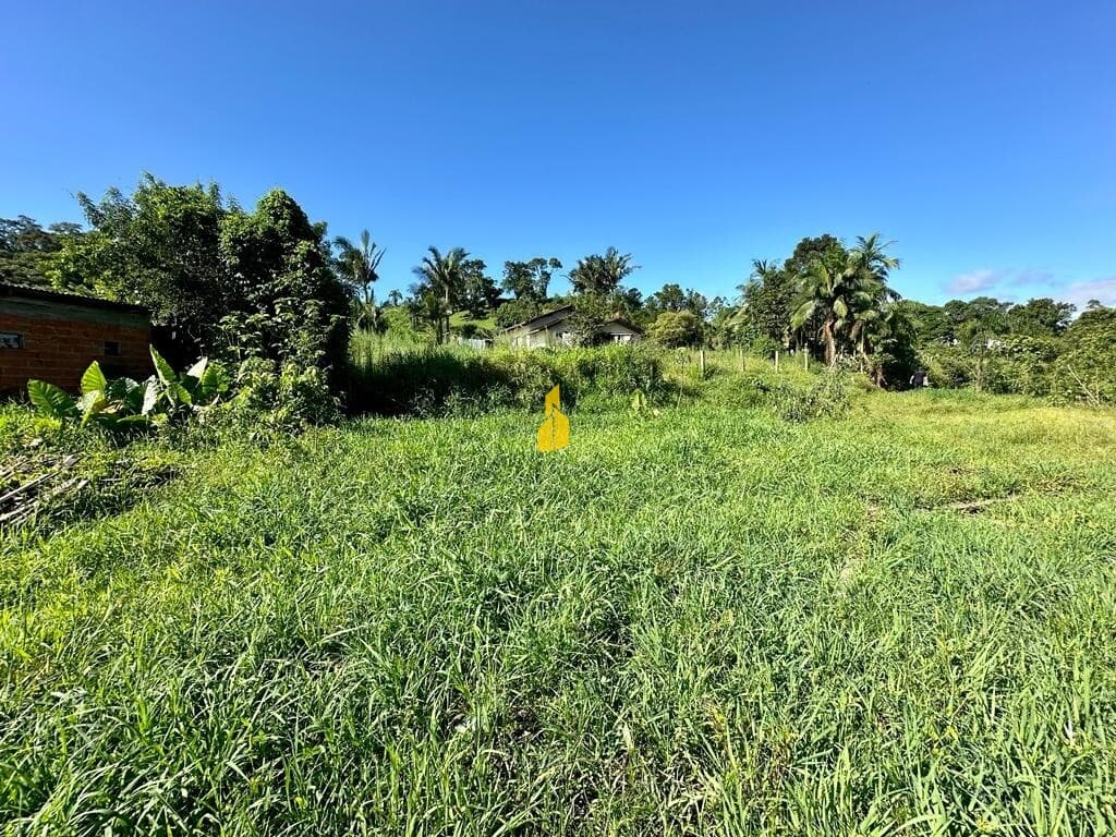 Terreno urbano com 20.000 m² à venda em Benedito Novo-SC